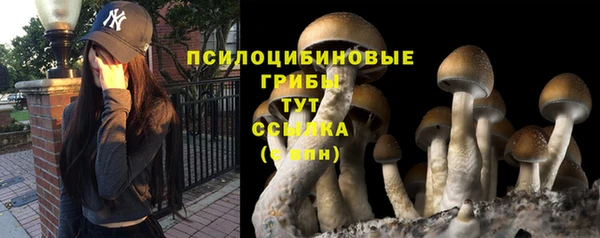 твердый Верея